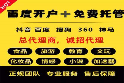 百度优化推广案例：打造高转化率网站